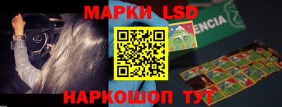крисы Гатчина