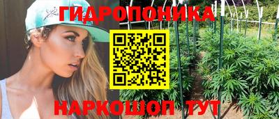 крисы Гатчина