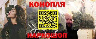 крисы Гатчина