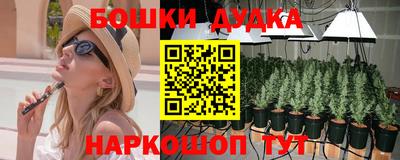 крисы Гатчина
