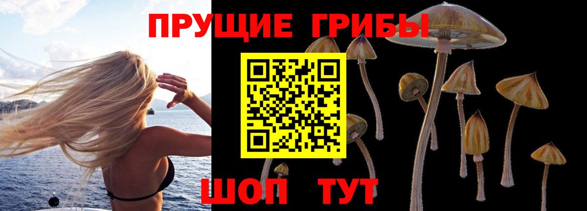 Лангепас  Галлюциногенные грибы Psilocybine cubensis  Вход с VPN 